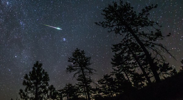 For A Front Row View Of A Dazzling Meteor Shower, Plan A Trip This Month To Arkansas’ Wilderness Rider Buffalo Ranch