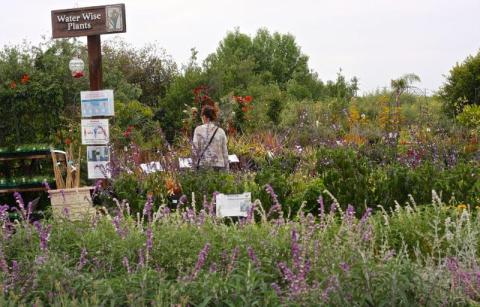 The Giant, Two-Acre Garden Center In Southern California, Marina Del Rey Garden Center, Will Bring Out Your Green Thumb