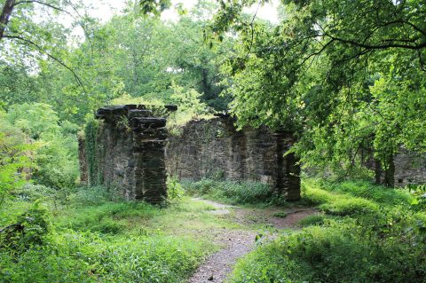 Stroll Through Massive Ruins At The Head Of A Neon Green Canal On This Easy But Astonishing West Virginia Trail