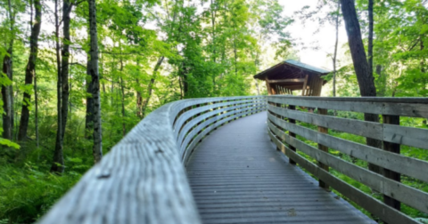 This Easy 2.3-Mile Trail Network In Maine Features A Boardwalk, Bridge And Wacky Spiral Stairs