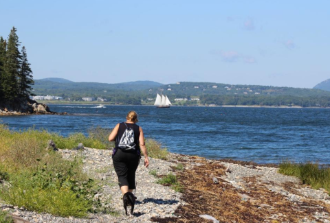 Birch Point State Park Is One Of The Most Underrated Summer Destinations In Maine