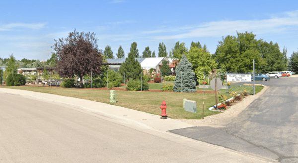 For More Than 40 Years, Landon’s Greenhouse Has Been The Go-To Place For Wyoming Gardeners