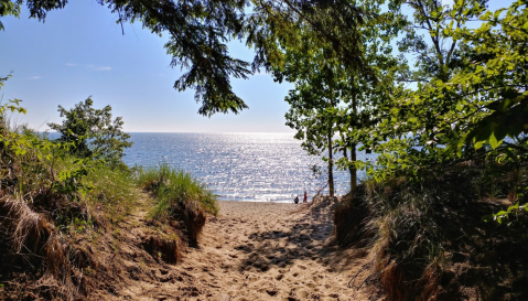 This Easy, 2.5-Mile Hike In Michigan Will Lead You Straight To The Shores Of Beautiful Lake Michigan