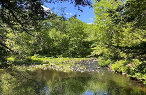 A 4-Mile Hiking Trail In New Hampshire, The Gonic Trails Long Loop Is Full Of Babbling Brooks