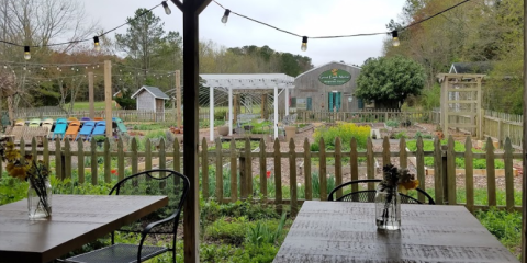 Good Earth Farm Is A One-Of-A-Kind Farmstead Country Store In Rural Delaware