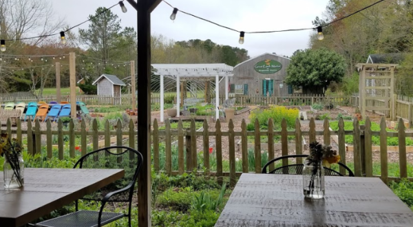 Good Earth Farm Is A One-Of-A-Kind Farmstead Country Store In Rural Delaware