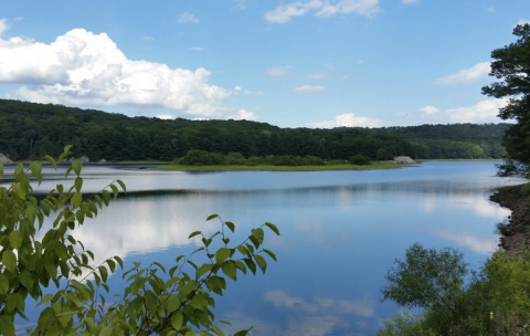 Hike Near A Crystal Clear Reservoir On The Saugatuck Trail, A Peaceful Getaway In Connecticut