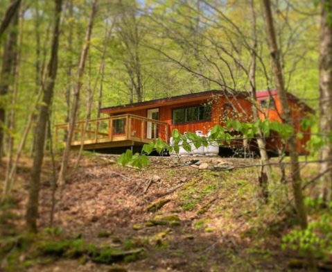 Stay In This Cozy Little Green Mountain National Forest Cabin In Vermont For Less Than $85 Per Night