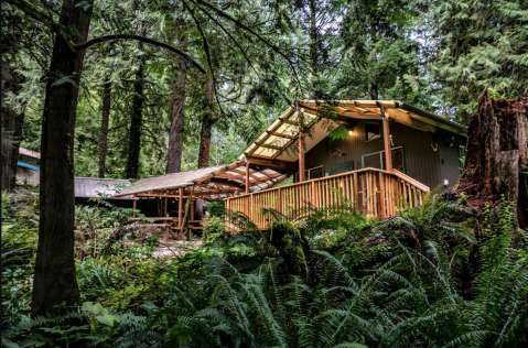 Stay In This Cozy Little Creekside Cabin In Washington For Less Than $150 Per Night