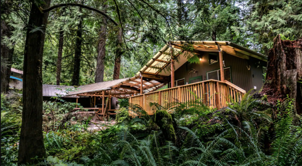 Stay In This Cozy Little Creekside Cabin In Washington For Less Than $150 Per Night