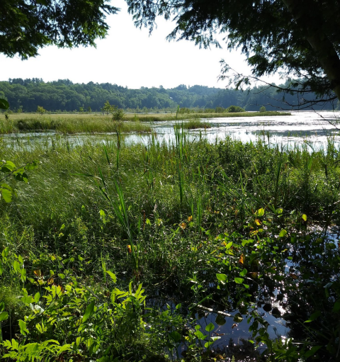 Wander Over The Water And Through The Woods On An Easy Trail At This Farm Preserve In Rural Maine