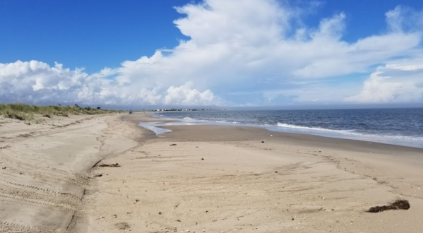 Beach Plum Island Is One Of The Most Underrated Summer Destinations In Delaware