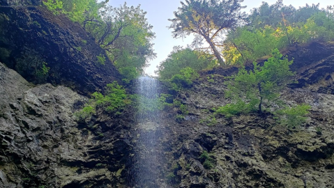 Oregon Has Its Own Niagara Falls, And You'll See It On This Short, Pretty Hike