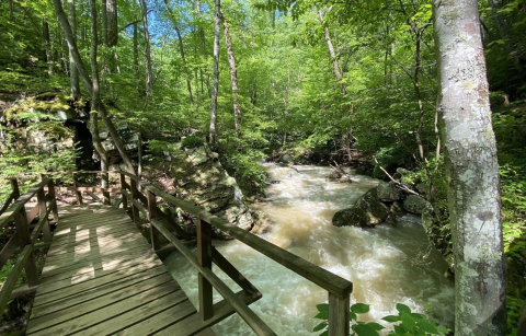 This 1-Mile Hike In Virginia Is Full Of Jaw-Dropping Natural Pools