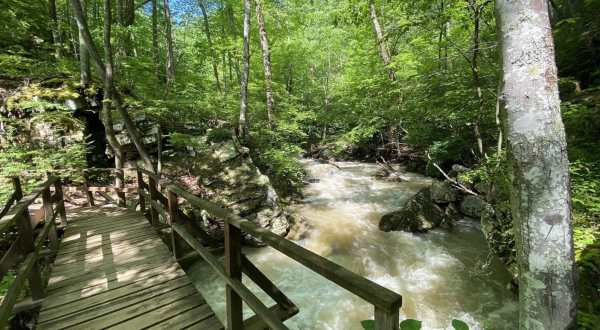 This 1-Mile Hike In Virginia Is Full Of Jaw-Dropping Natural Pools