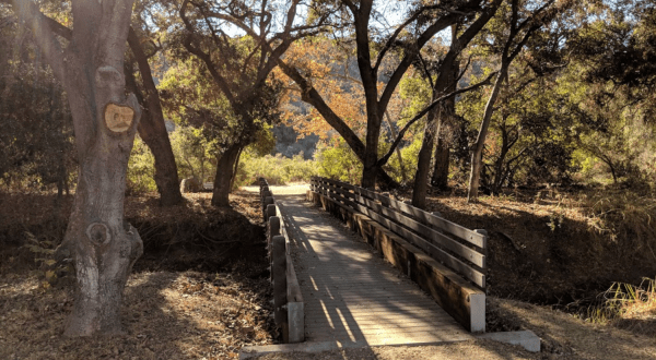 Hike Through A Lush Outdoor Paradise Overflowing With Trails At Buena Vista Park Pond And Open Space In Southern California
