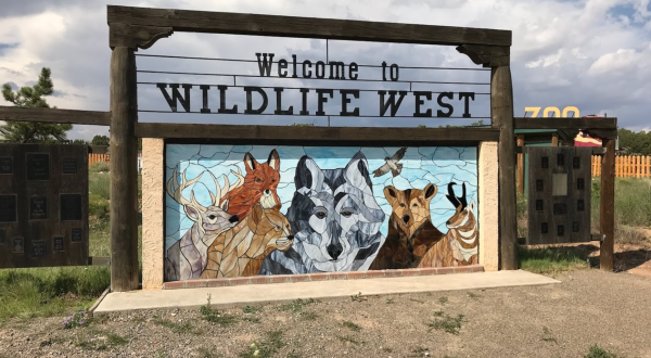 There’s A Wildlife Park In New Mexico That’s Perfect For A Family Day Trip