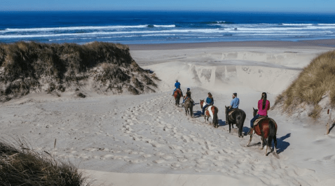 Walk Through Waves And Dunes On Horseback At Florence's Beautiful Beach In Oregon