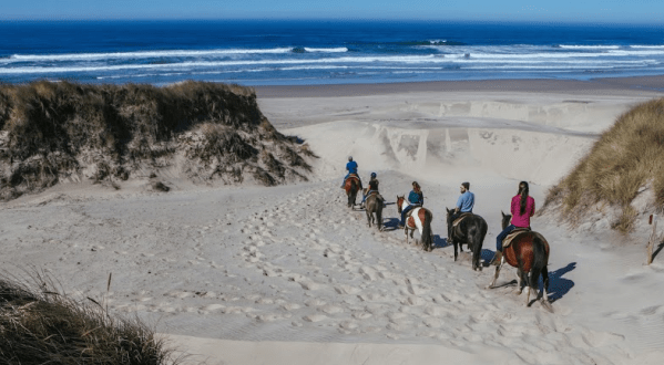 Walk Through Waves And Dunes On Horseback At Florence’s Beautiful Beach In Oregon