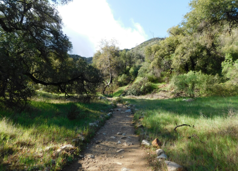 Packed With 12 Miles Of Scenic Trails, Placerita Canyon State Park In Southern California Is A Heavenly Outdoor Oasis