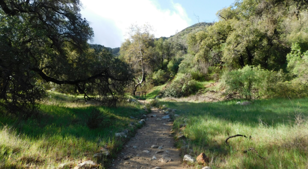 Packed With 12 Miles Of Scenic Trails, Placerita Canyon State Park In Southern California Is A Heavenly Outdoor Oasis