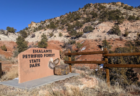 Visit Utah's Escalante Petrified Forest State Park, But Avoid The Ancient Curse