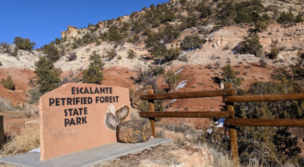 Visit Utah’s Escalante Petrified Forest State Park, But Avoid The Ancient Curse