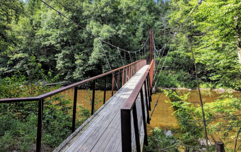 Walk Over A Gorgeous Bridge On The Bee Brook Loop, An Easy 2-Mile Hike In Connecticut