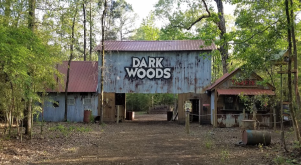 You Can Now Dig For Fossils At Dark Woods Adventure Park In Louisiana