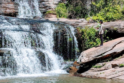 This Easy, 0.7-Mile Trail Leads To Todd Creek Falls, One Of South Carolina's Most Underrated Waterfalls