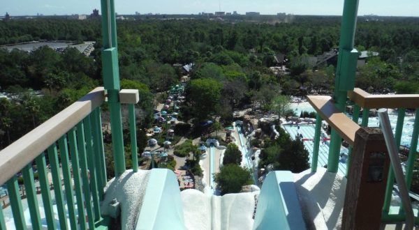 Take A Wet And Wild Ride Down The Tallest Waterslide In Florida At Blizzard Beach