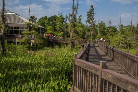 Take A Boardwalk Stroll Through Blue Elbow Swamp At The Texas Travel Information Center