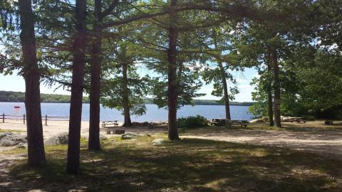 4 Places In Rhode Island Where You Can Go Camping Right Now