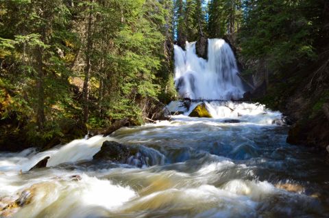 Not Too Long And Not Too Short, We Found The Most Perfect Waterfall Hike Right Here In Montana