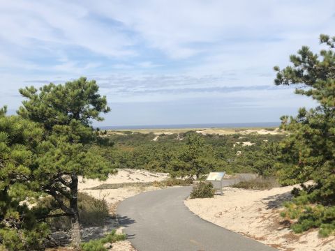 For Views Of Stunning Coastal Sand Dunes In Massachusetts, Take Province Lands Bike Trail