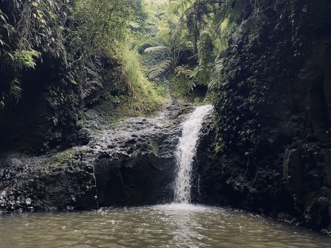 Maunawili Falls Trail Is A 3-Mile Hike In Hawaii That Leads You To A Pristine Swimming Hole