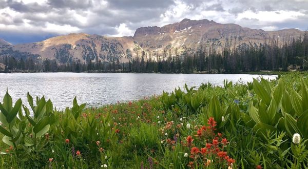 Take The Short, Easy Trail To Ruth Lake For A Utah Summer Adventure With The Family