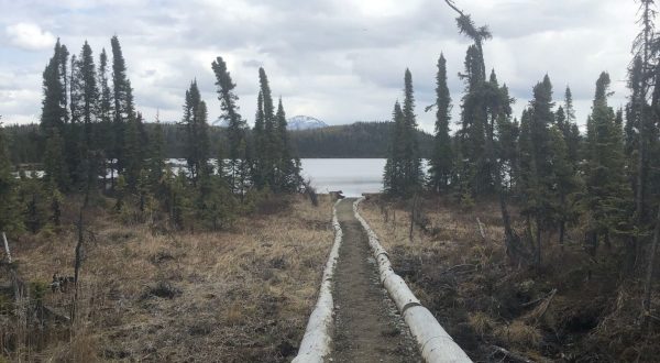 Hike This Gently Winding Trail To Marsh Lake In Alaska