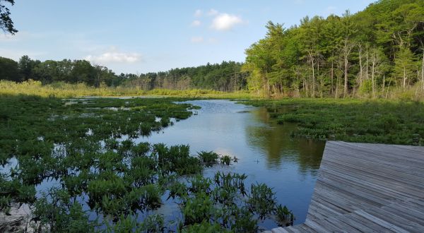 Anyone Can Take A Hike On The Short But Sweet All Persons Trail At Broadmoor Wildlife Sanctuary In Massachusetts