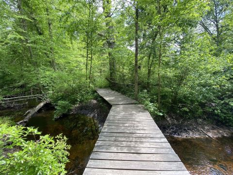 A Short But Beautiful Hike, Sin and Flesh Brook Trail Leads To A Little-Known Brook In Rhode Island