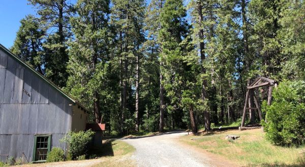 The Hardrock Trail Leads You Past Relics From The Gold Rush In Northern California