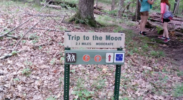 Hike To The Moon And Back On The Mountwood Trail Network In West Virginia