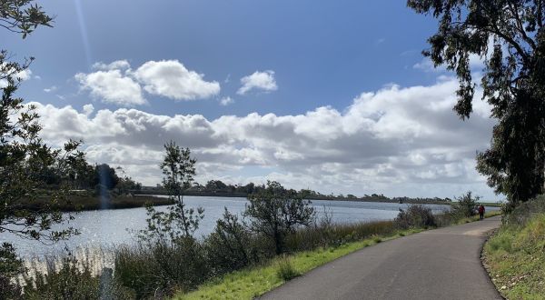 The Easy Lakeside Trail In Southern California, Lake Miramar Trail, That Will Lead You Through Absolute Perfection