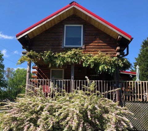 You Can Rent Your Own Private Log Cabin With Gorgeous Views Of Lake Of Egypt In Illinois