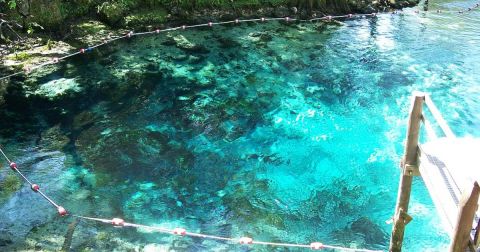 15 Florida Swimming Holes That Are Ideal For A Summer Adventure