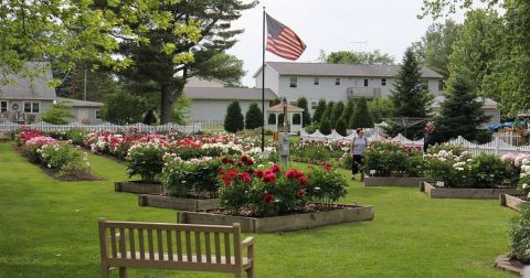 Plan A Visit To Sisson’s Peony Gardens. They Put Rosendale On The Map As The Peony Capital Of Wisconsin