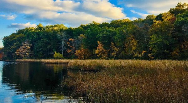 The Largest Freshwater Marsh In Massachusetts Can Be Found In The Breathtaking Cutler Park Reservation