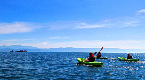 Kayak Out To Wild Horse Island In Montana To See An Island Filled With Wildlife