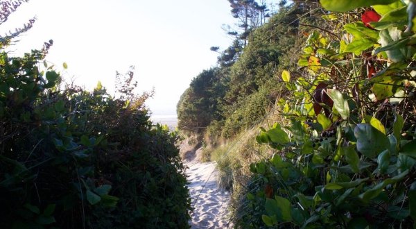 Follow A Sandy Path To The Waterfront When You Visit Hobbit Beach In Oregon