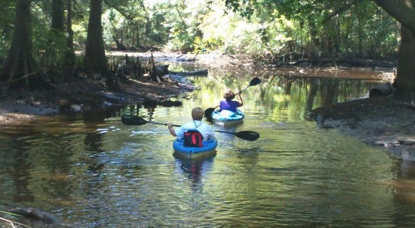 Take This Delta Wildlife Kayak Tour In Alabama For An Unforgettable Summer Adventure